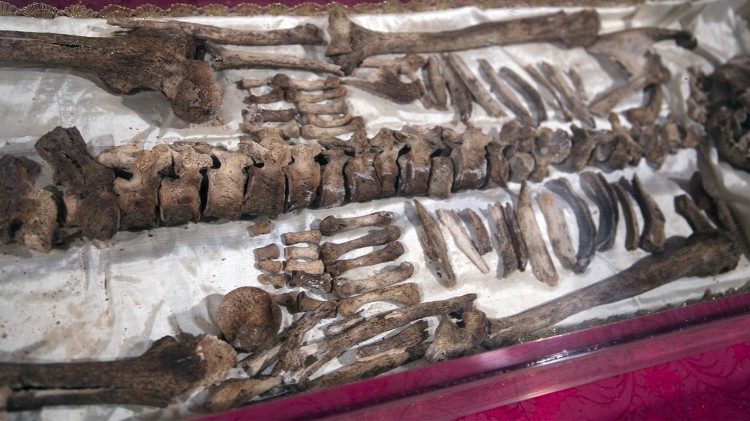 Restos Mortais de S. Francisco Crédito Sala Stampa Sacro Convento Assisi Vatican News f7098